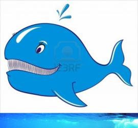 ballena-azul.jpg