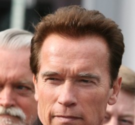 arnold-swezzemegger.jpg